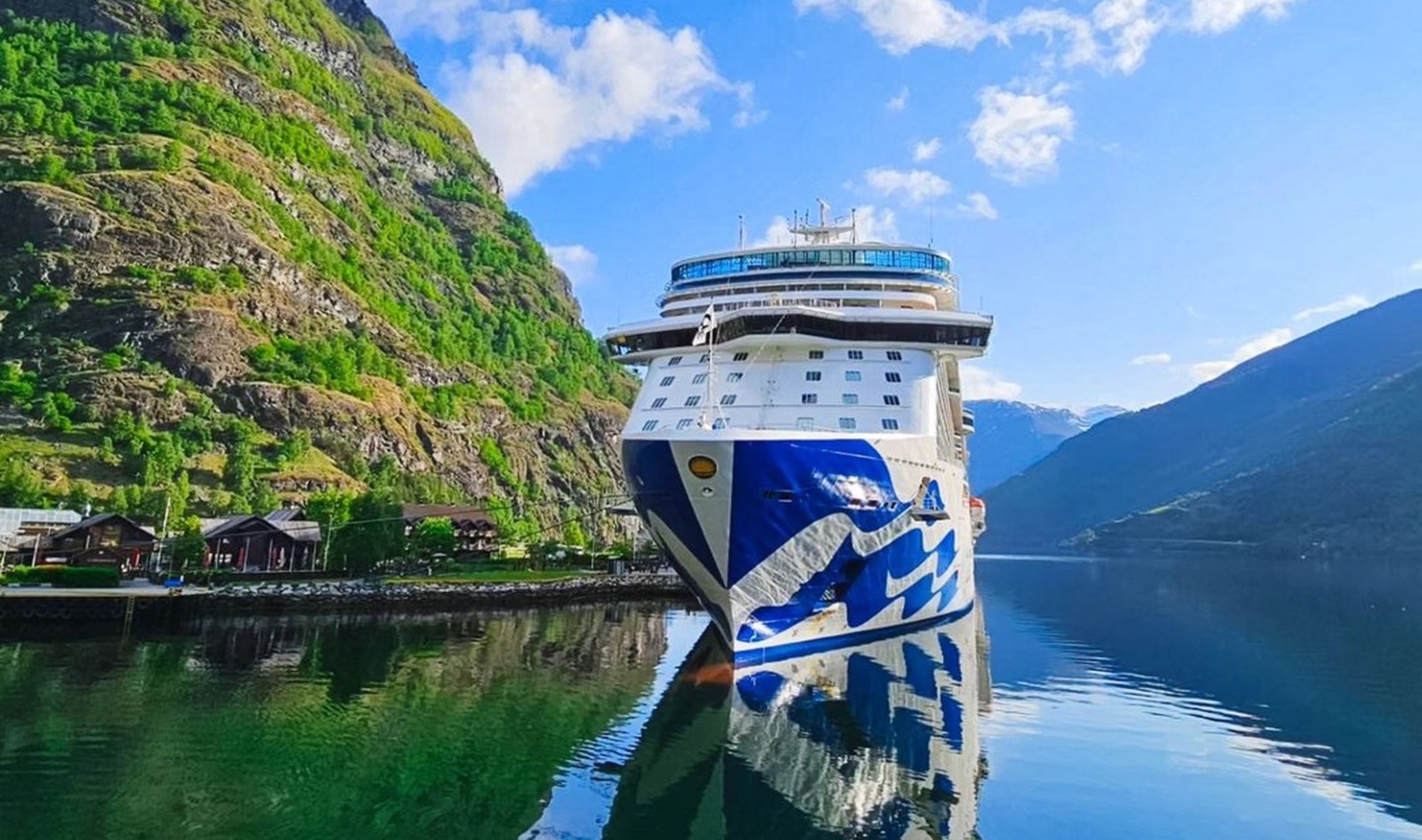 vegan cruise