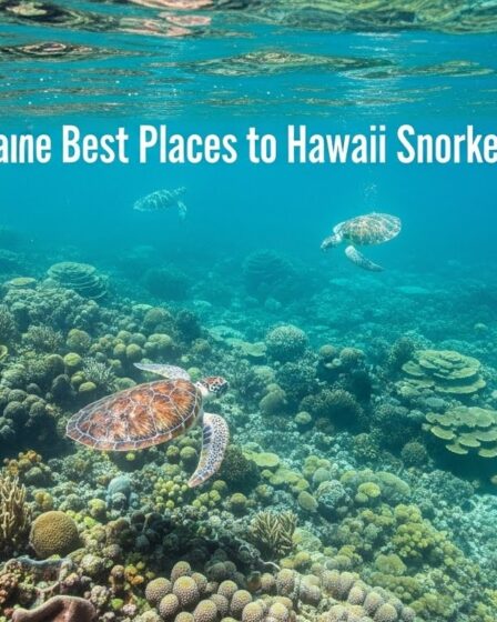 best places to snorkel in hawaii